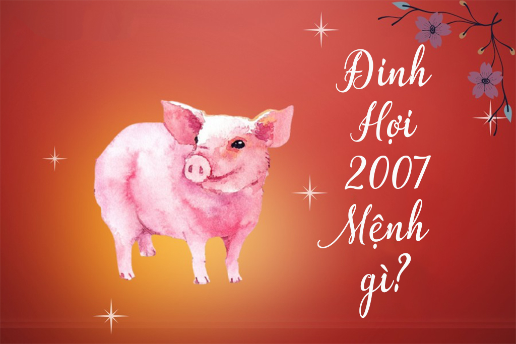 dinh-hoi-2007-menh-gi