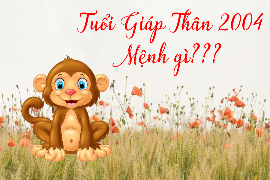 giap-than-2004-menh-gi